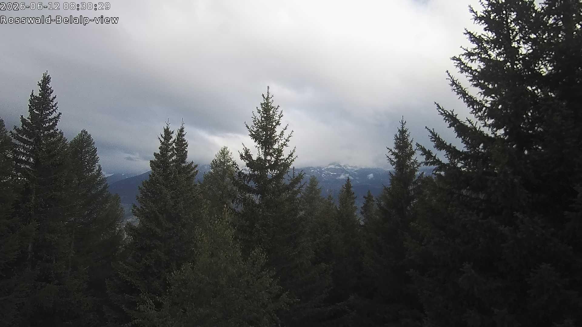 Archived image Webcam Rosswald - Bärgfriedu