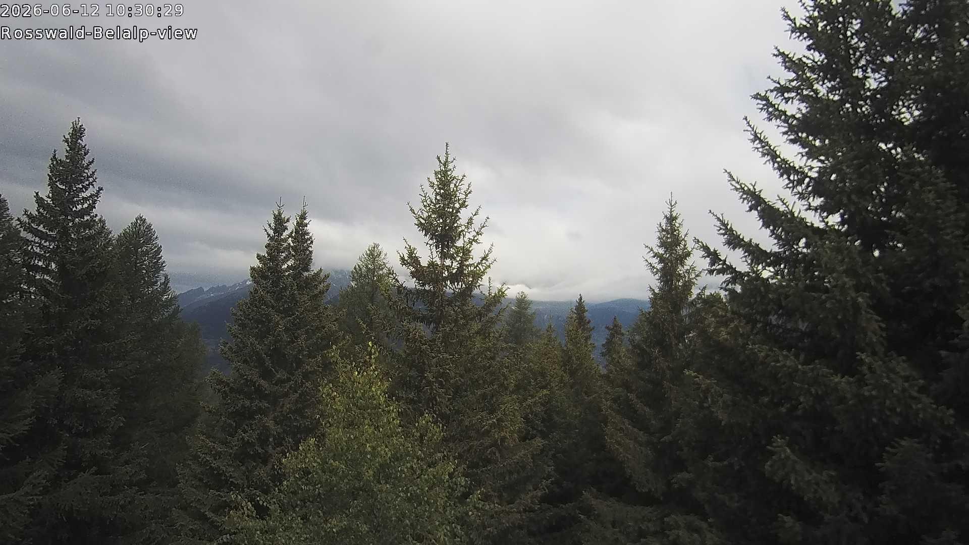 Archived image Webcam Rosswald - Bärgfriedu
