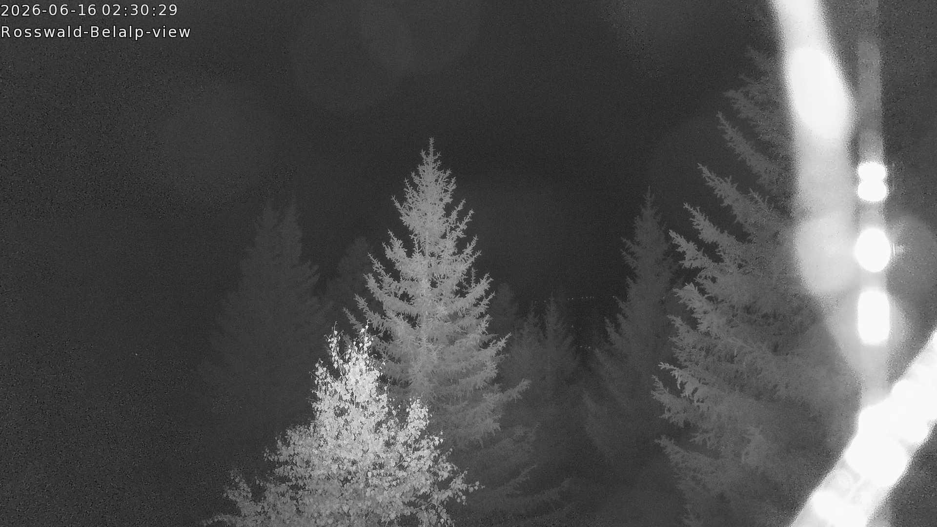 Archived image Webcam Rosswald - Bärgfriedu