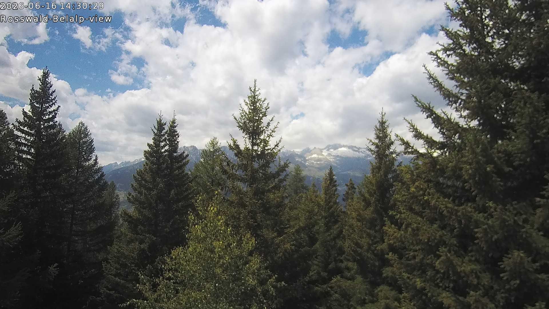 Archiv Foto Webcam Rosswald - Chalet Bergfriede