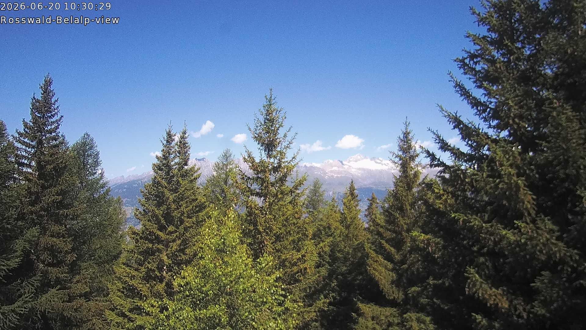 Archiv Foto Webcam Rosswald - Chalet Bergfriede