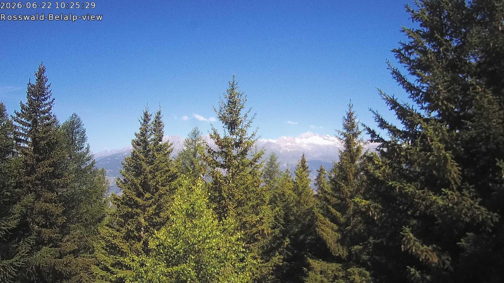 Archiv Foto Webcam Rosswald - Chalet Bergfriede