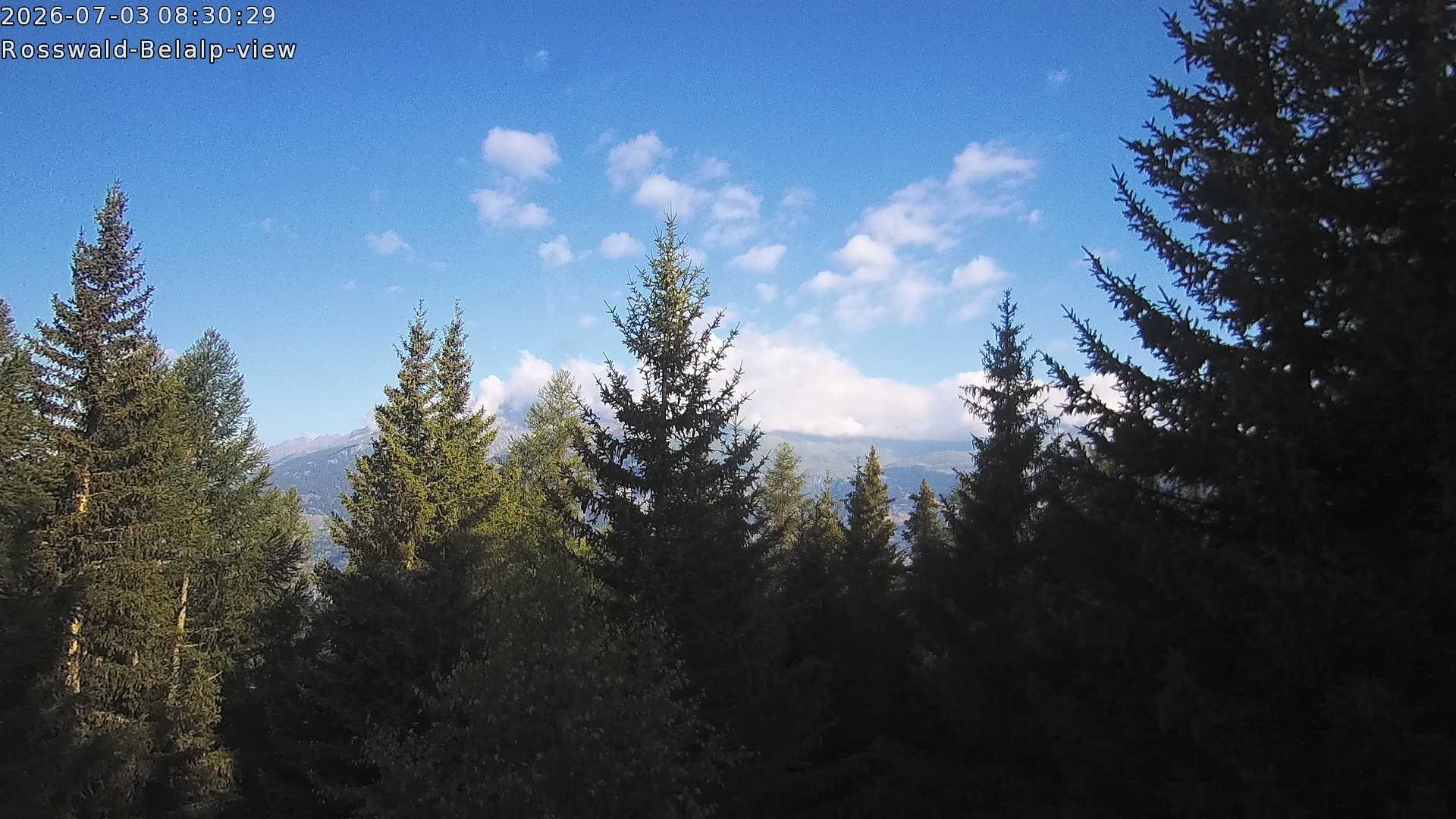 Archiv Foto Webcam Rosswald - Chalet Bergfriede