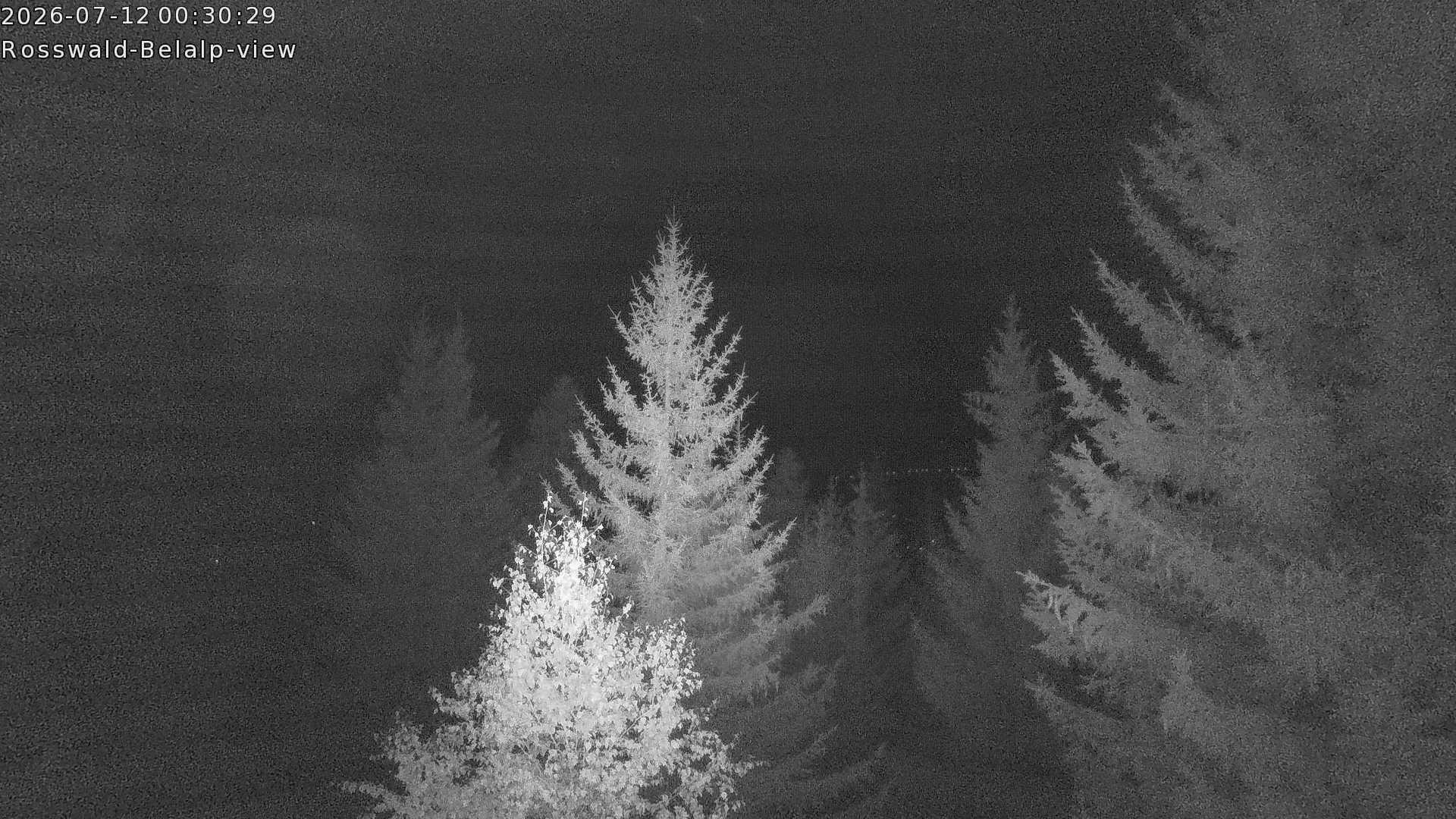 Archived image Webcam Rosswald - Bärgfriedu