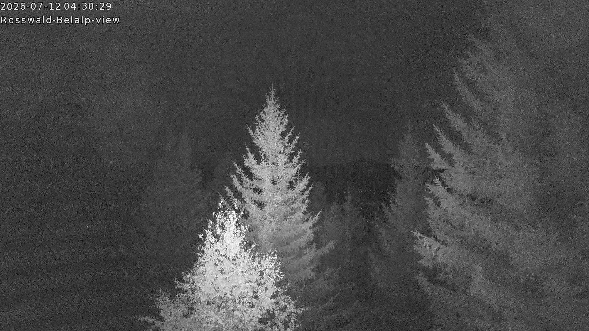 Archived image Webcam Rosswald - Bärgfriedu