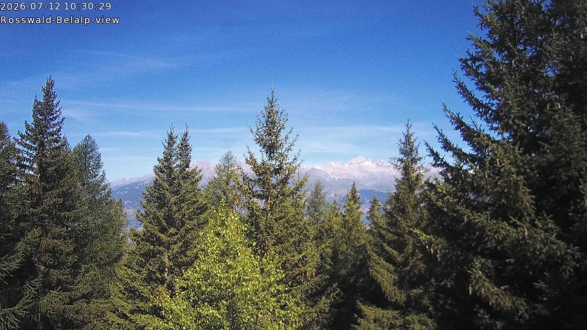 Archived image Webcam Rosswald - Bärgfriedu