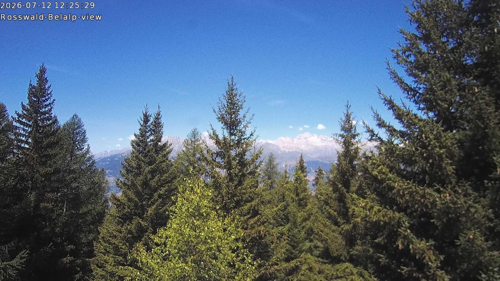 Archived image Webcam Rosswald - Bärgfriedu