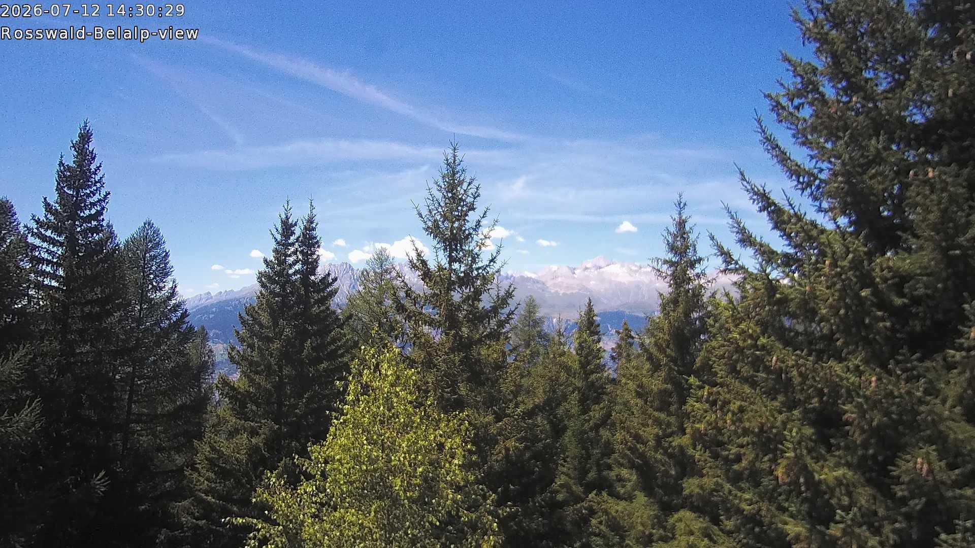 Archived image Webcam Rosswald - Bärgfriedu