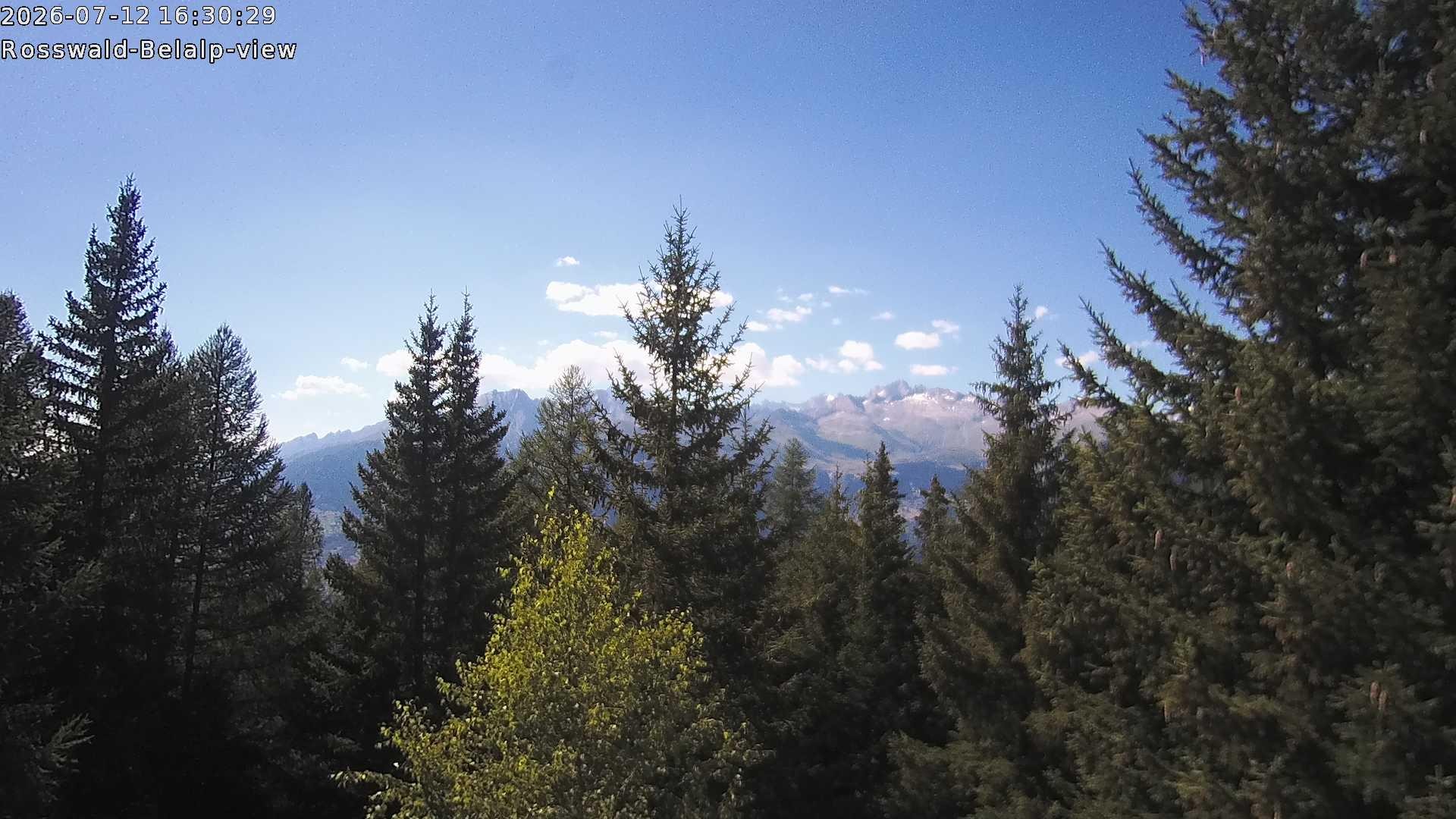 Archived image Webcam Rosswald - Bärgfriedu