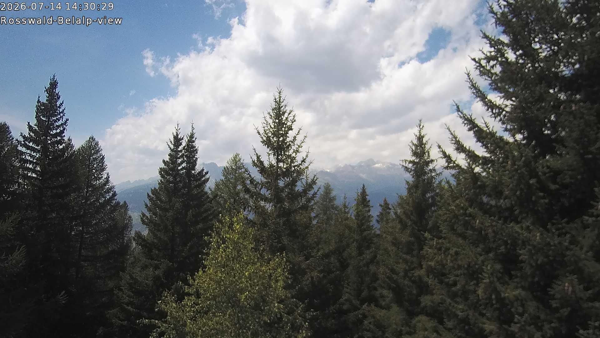 Archiv Foto Webcam Rosswald - Chalet Bergfriede