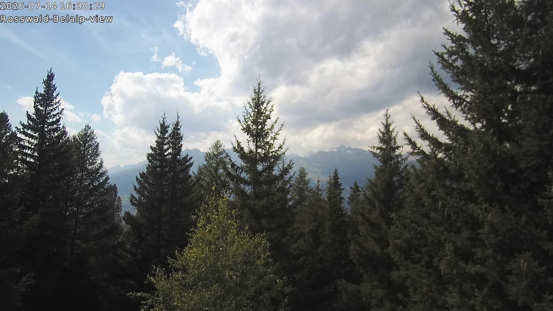 Archiv Foto Webcam Rosswald - Chalet Bergfriede