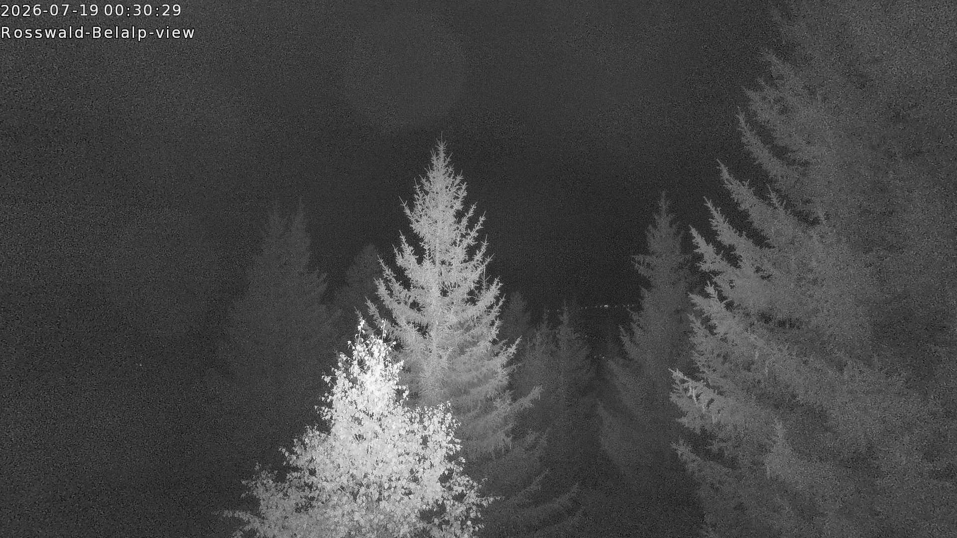 Archived image Webcam Rosswald - Bärgfriedu