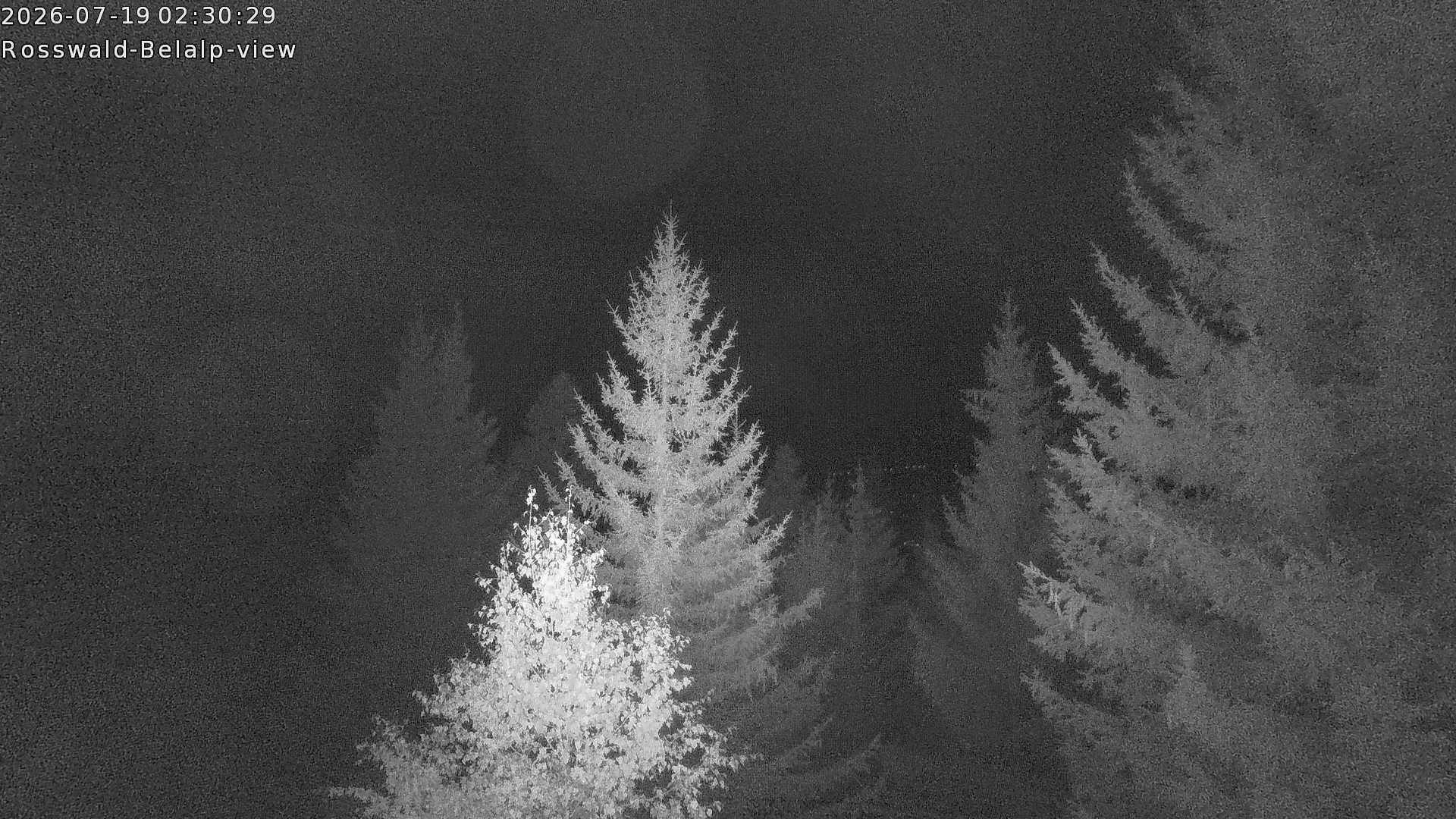 Archived image Webcam Rosswald - Bärgfriedu