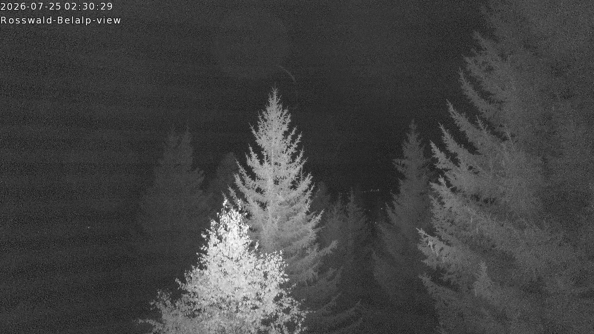 Archived image Webcam Rosswald - Bärgfriedu