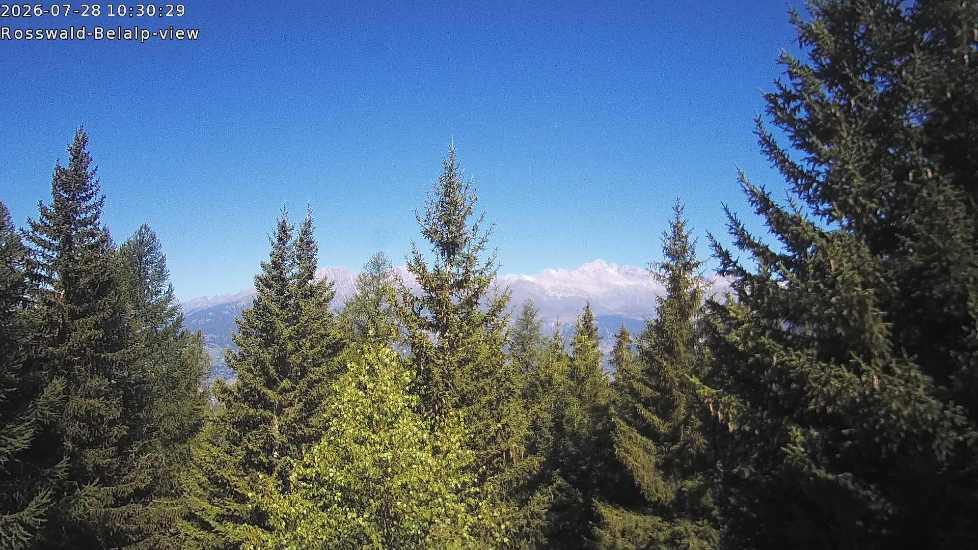 Archiv Foto Webcam Rosswald - Chalet Bergfriede