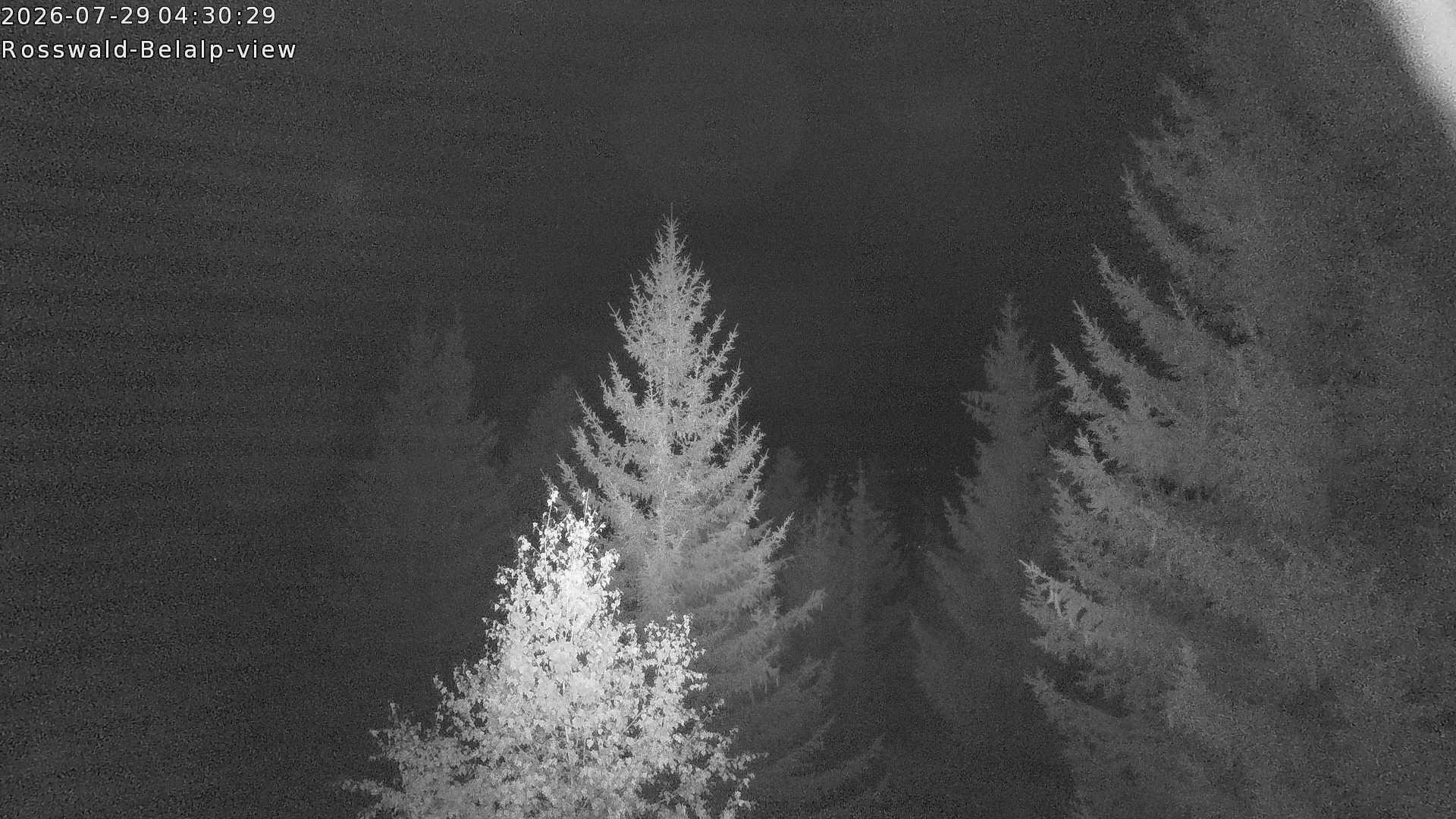 Archiv Foto Webcam Rosswald - Chalet Bergfriede