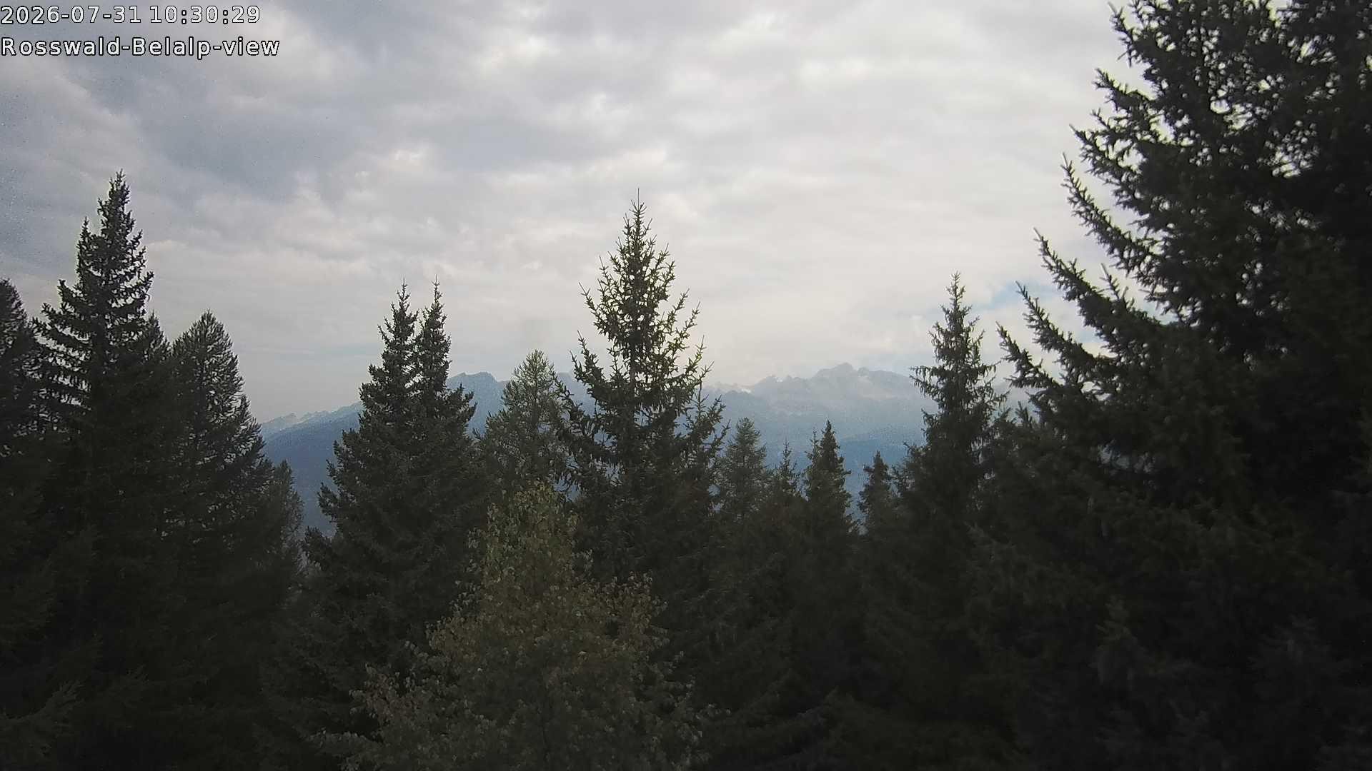 Archiv Foto Webcam Rosswald - Chalet Bergfriede