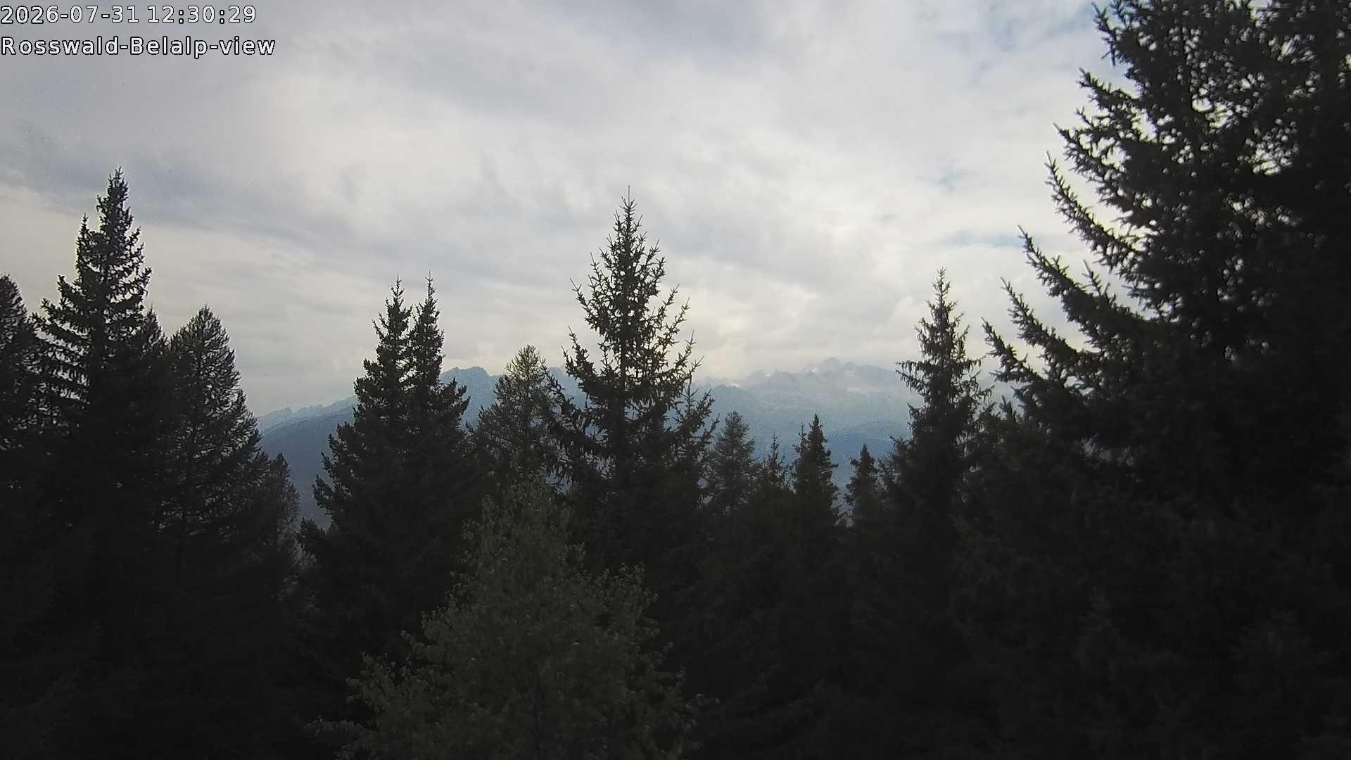 Archiv Foto Webcam Rosswald - Chalet Bergfriede