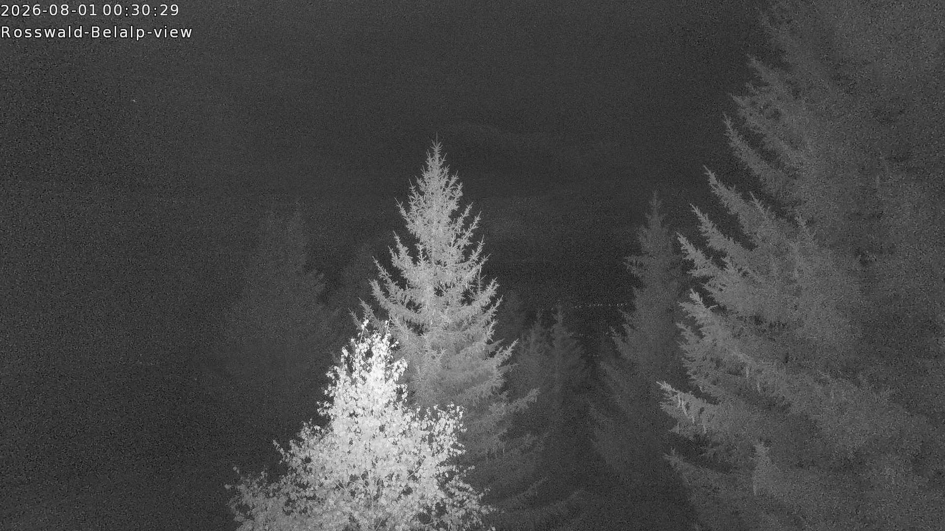 Archiv Foto Webcam Rosswald - Chalet Bergfriede
