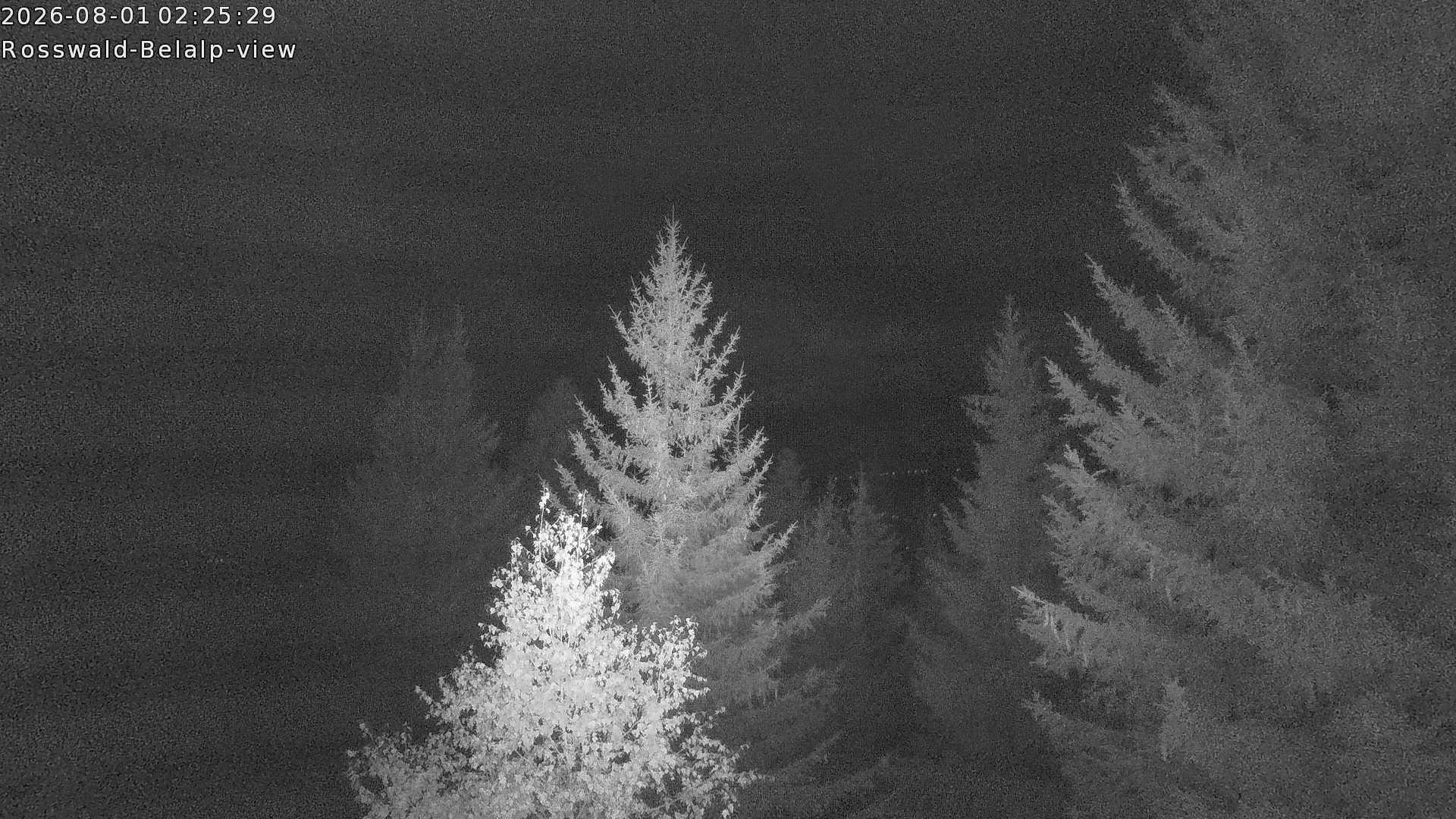 Archiv Foto Webcam Rosswald - Chalet Bergfriede