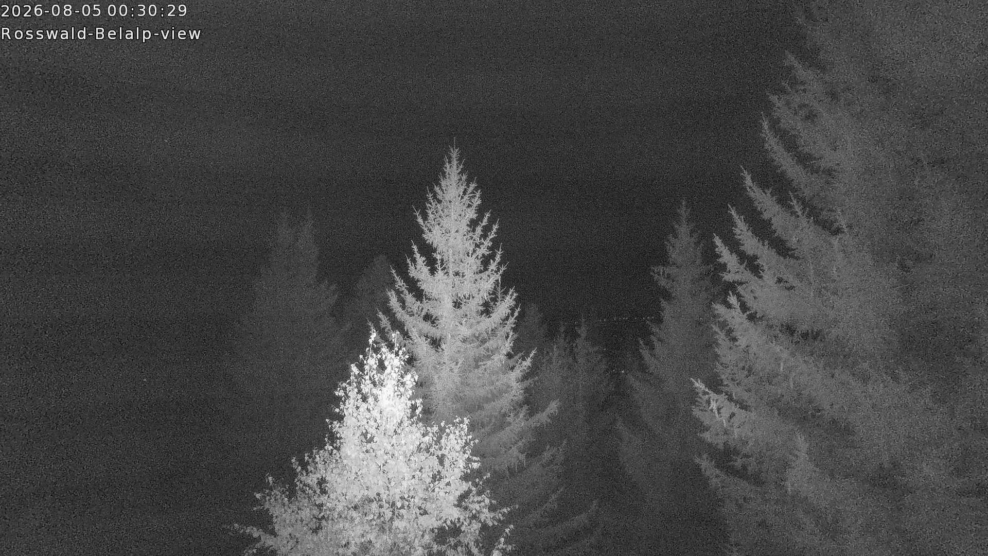 Archiv Foto Webcam Rosswald - Chalet Bergfriede
