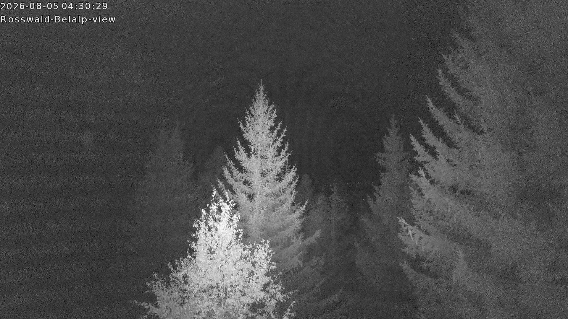 Archiv Foto Webcam Rosswald - Chalet Bergfriede