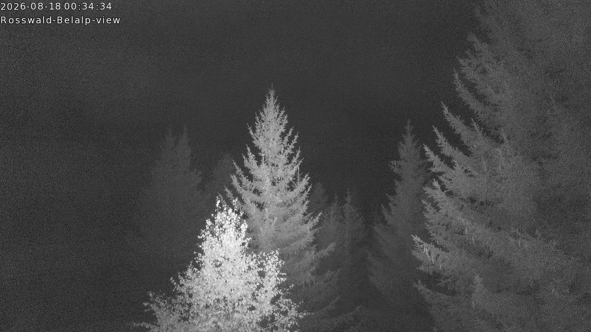 Archiv Foto Webcam Rosswald - Chalet Bergfriede