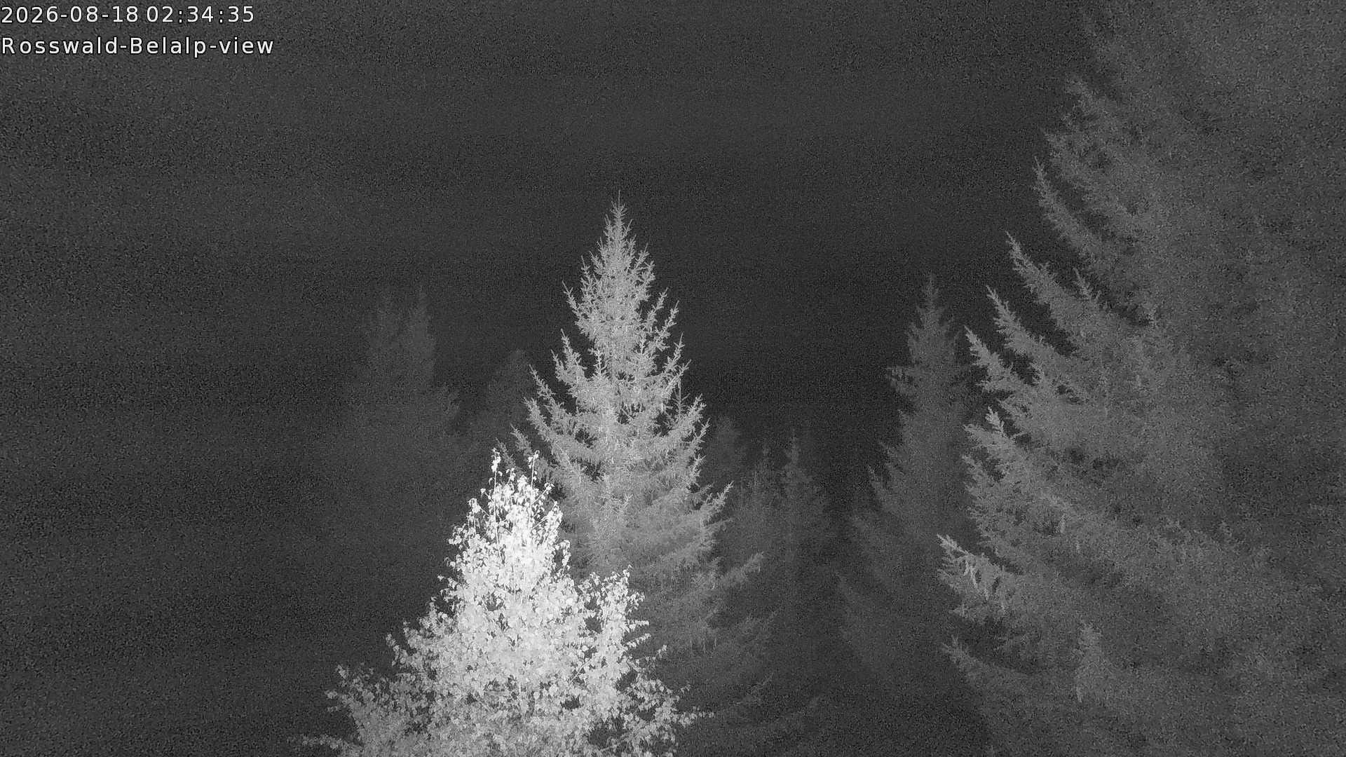 Archiv Foto Webcam Rosswald - Chalet Bergfriede