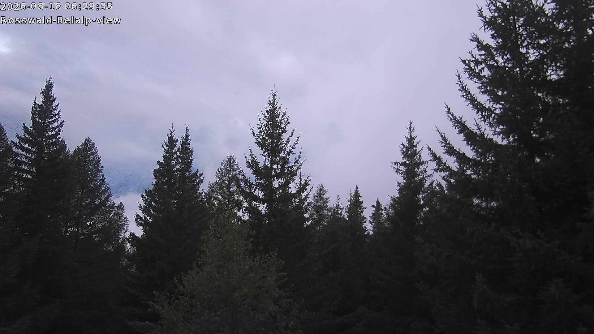 Archiv Foto Webcam Rosswald - Chalet Bergfriede