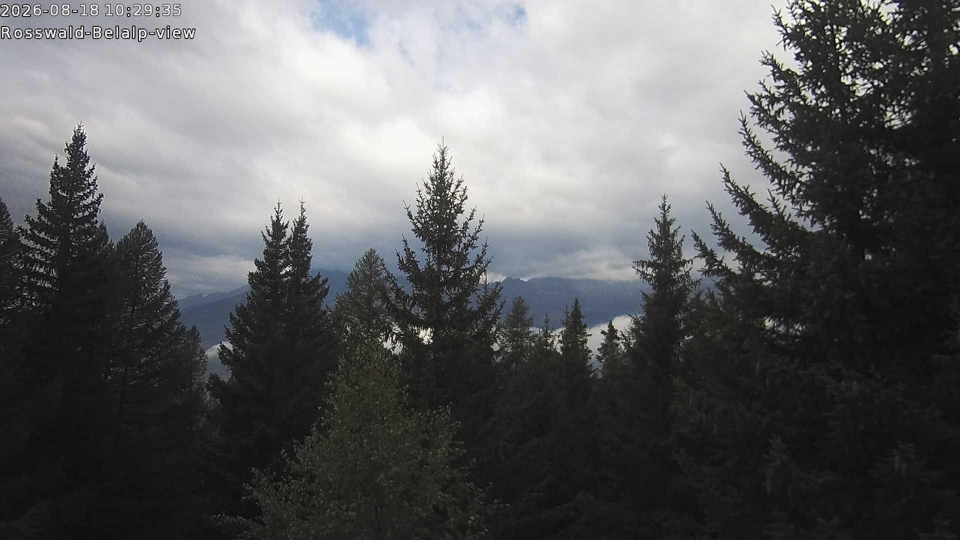 Archiv Foto Webcam Rosswald - Chalet Bergfriede