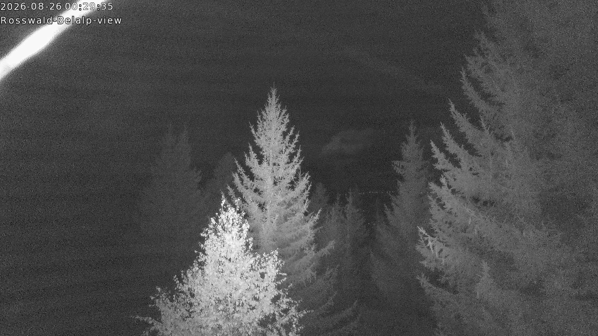 Archived image Webcam Rosswald - Bärgfriedu