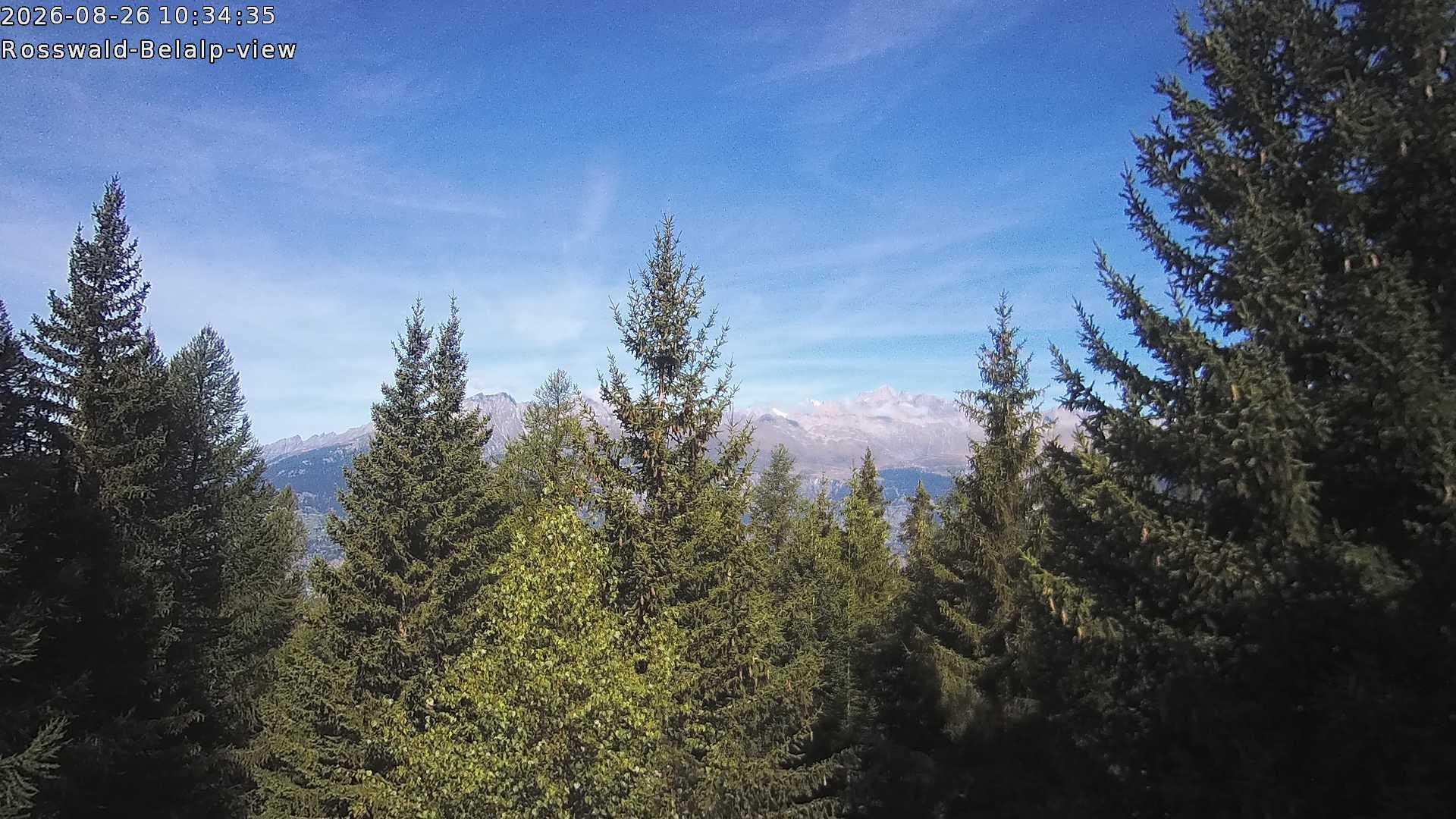 Archived image Webcam Rosswald - Bärgfriedu