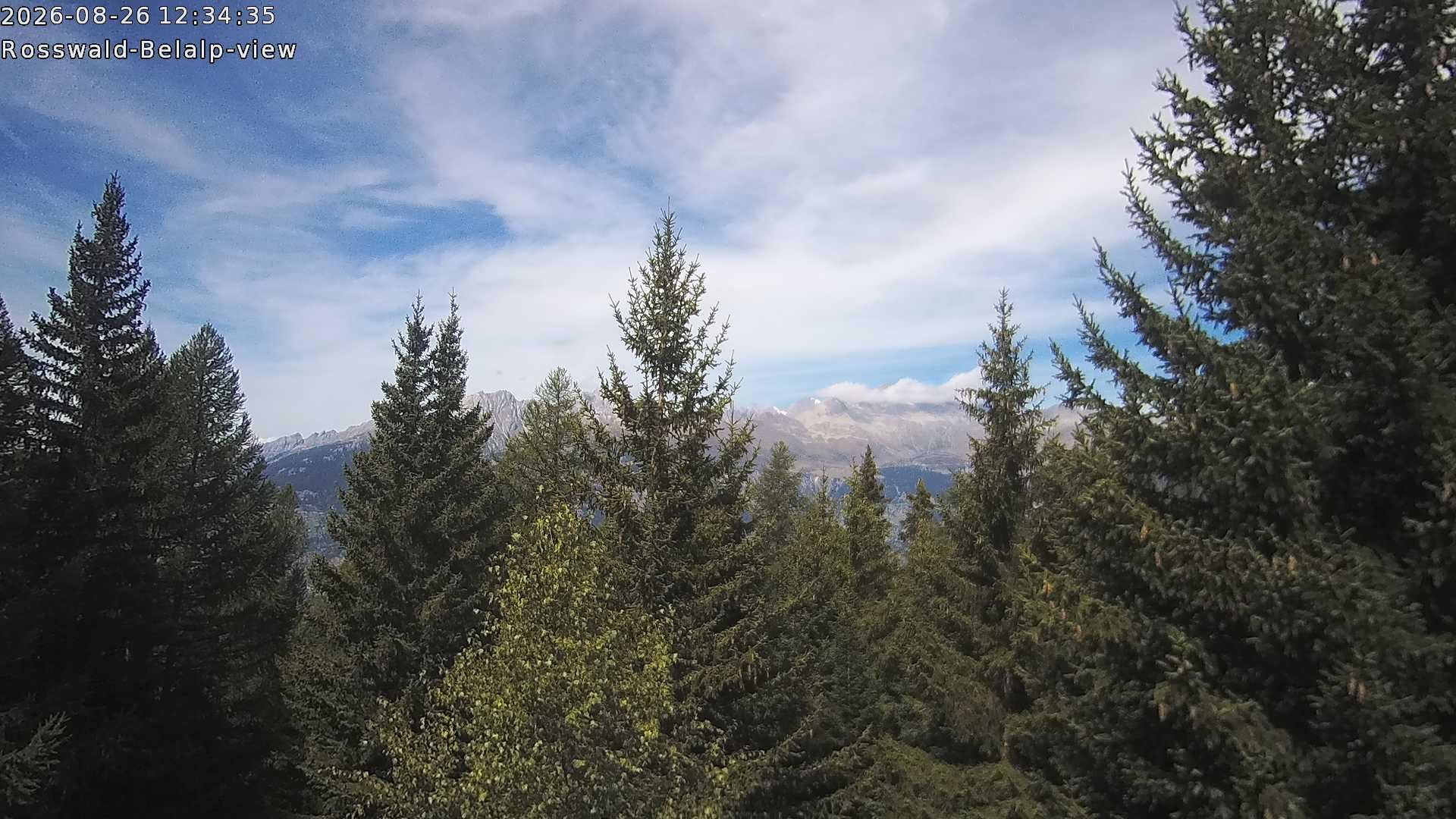 Archived image Webcam Rosswald - Bärgfriedu