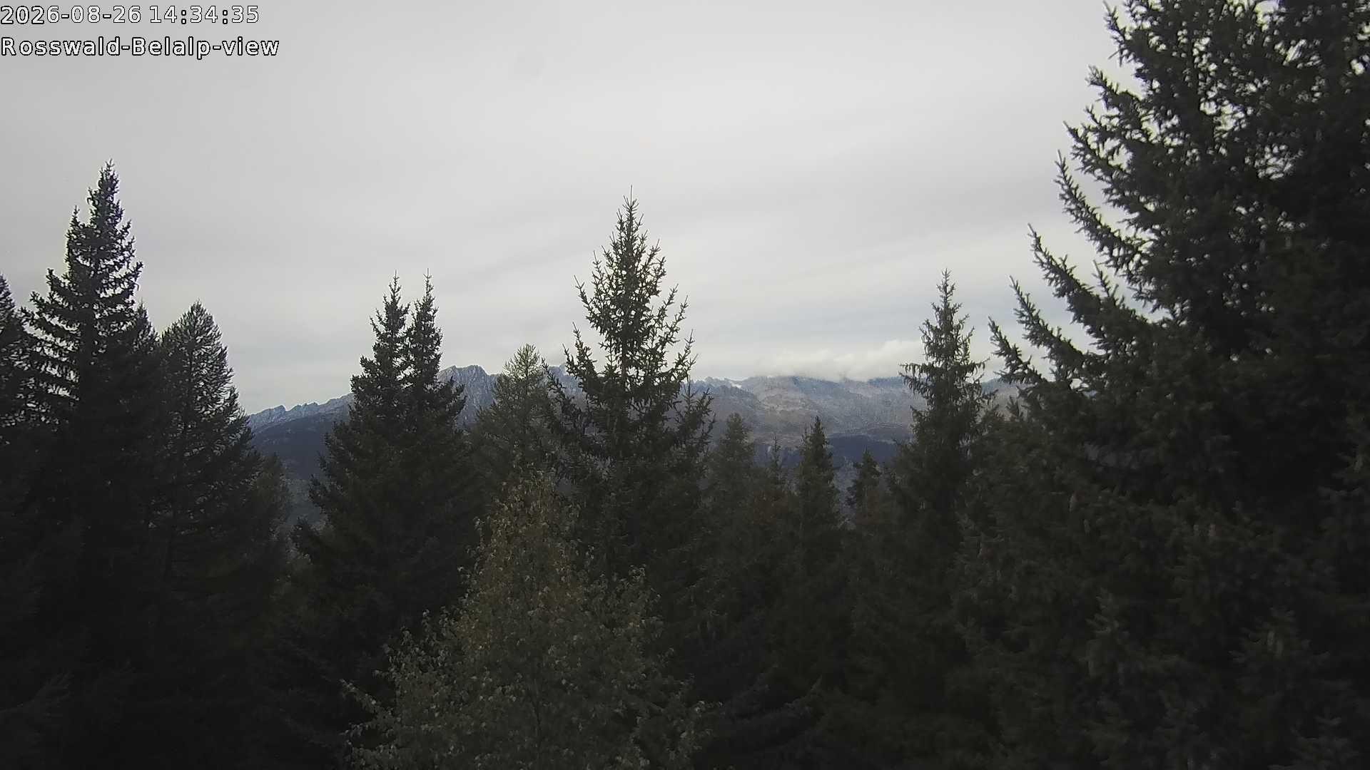 Archived image Webcam Rosswald - Bärgfriedu