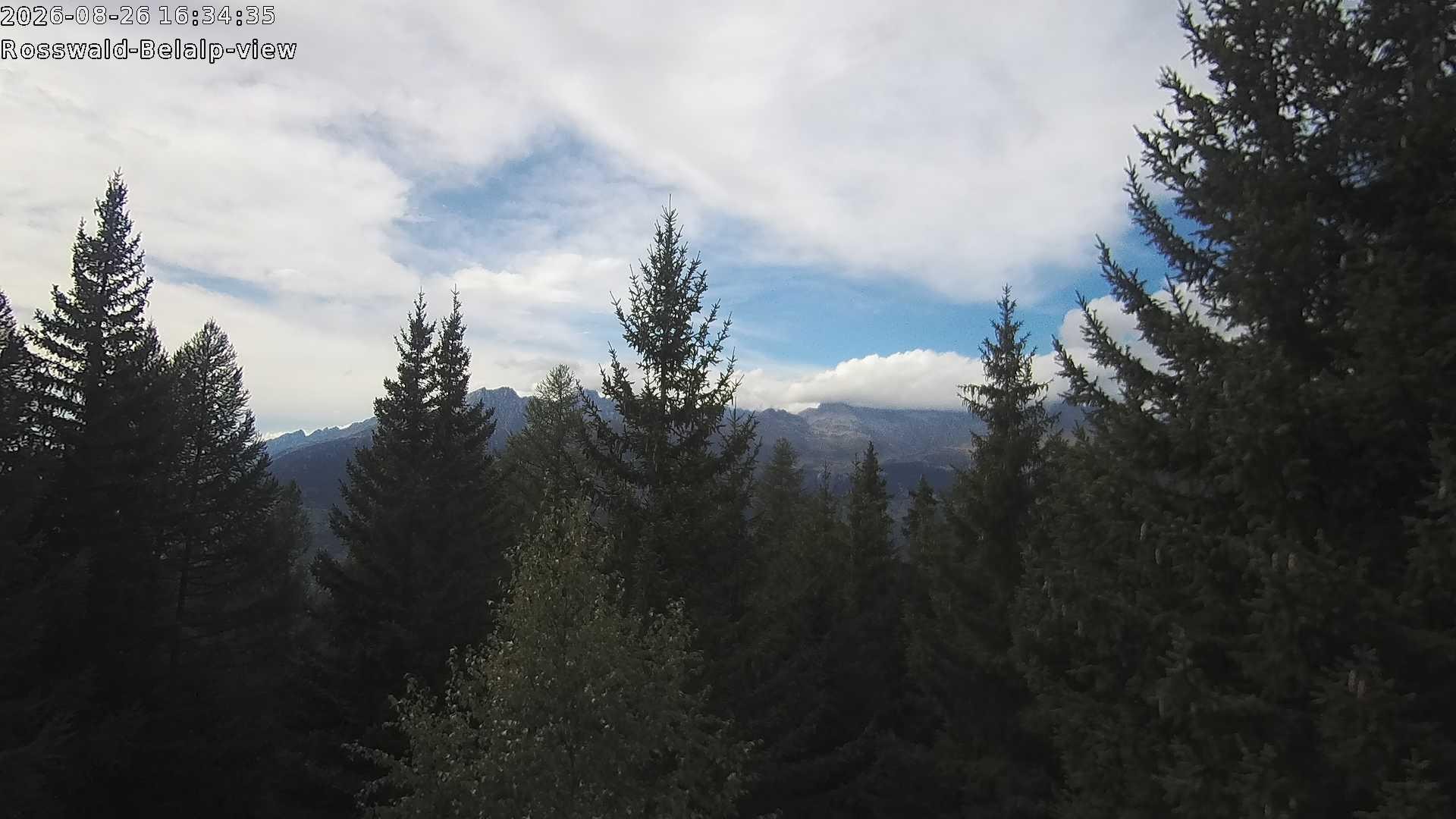 Archived image Webcam Rosswald - Bärgfriedu