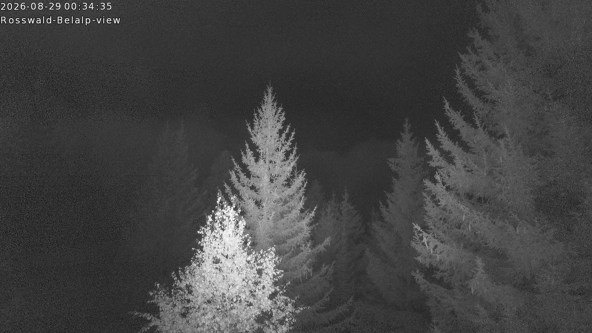 Archiv Foto Webcam Rosswald - Chalet Bergfriede