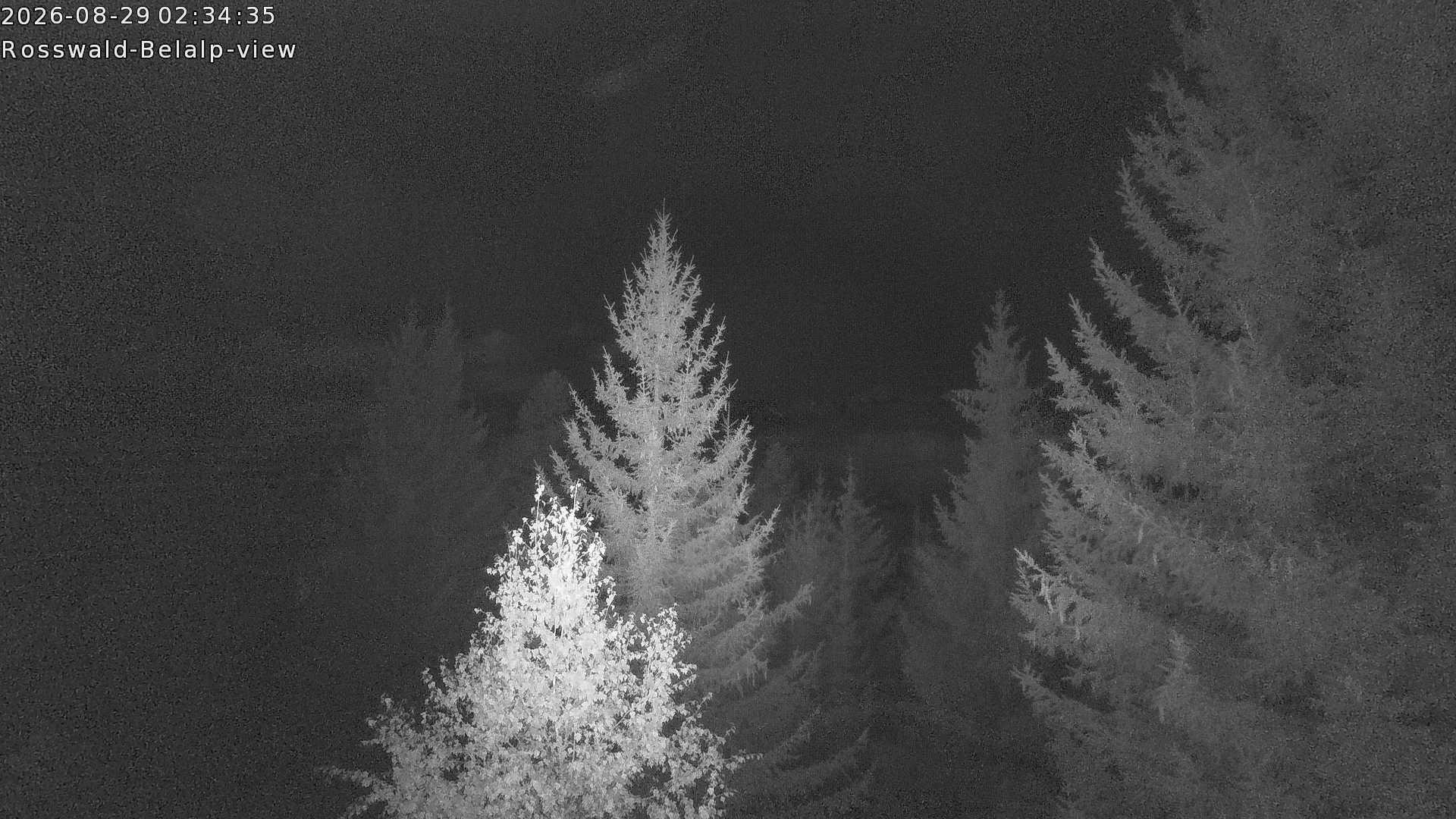 Archiv Foto Webcam Rosswald - Chalet Bergfriede