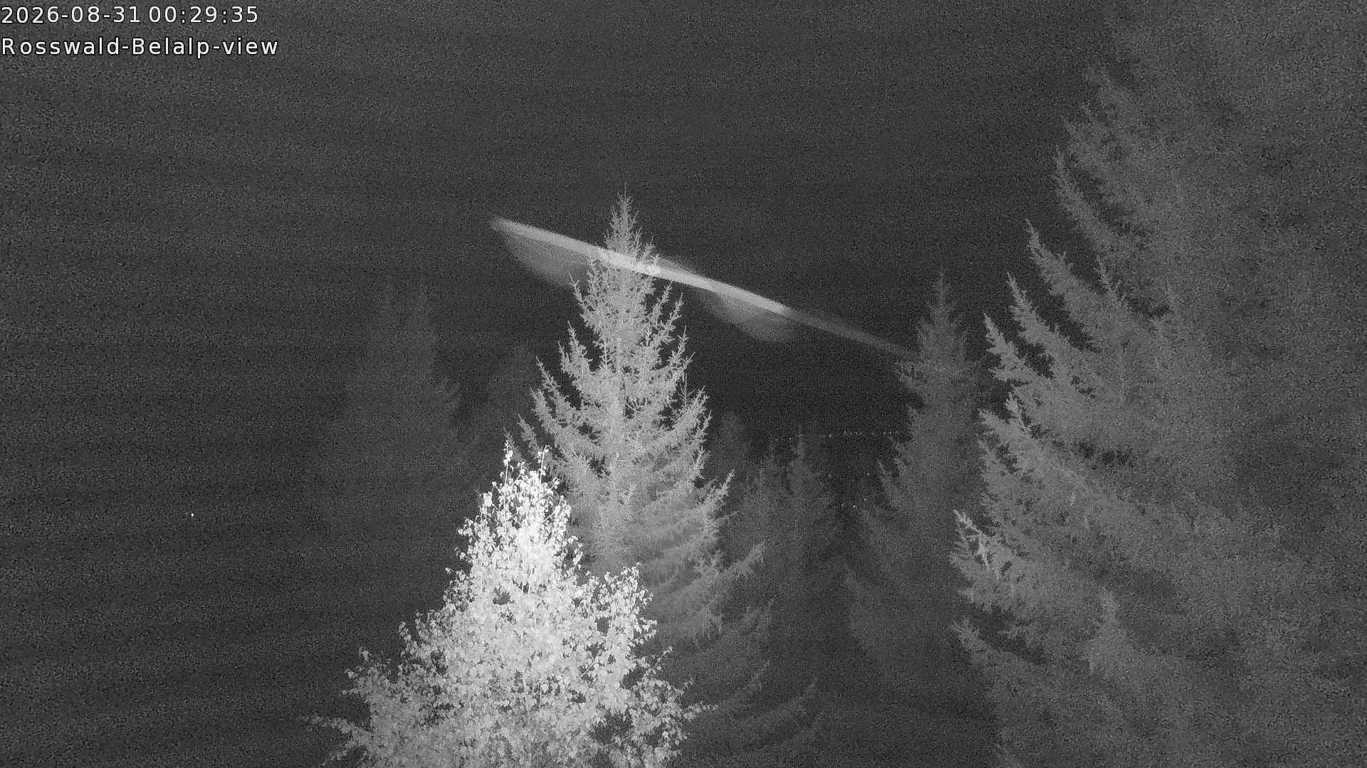 Archived image Webcam Rosswald - Bärgfriedu