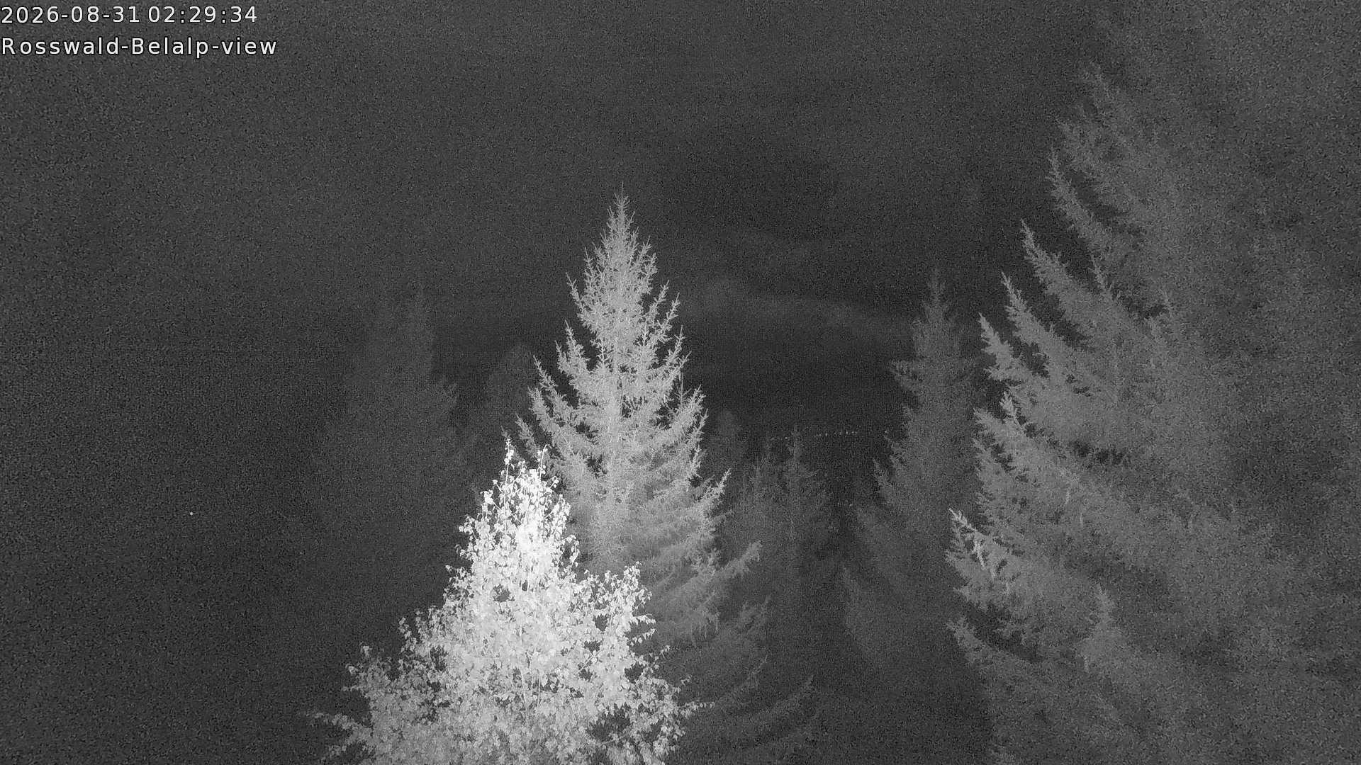 Archived image Webcam Rosswald - Bärgfriedu
