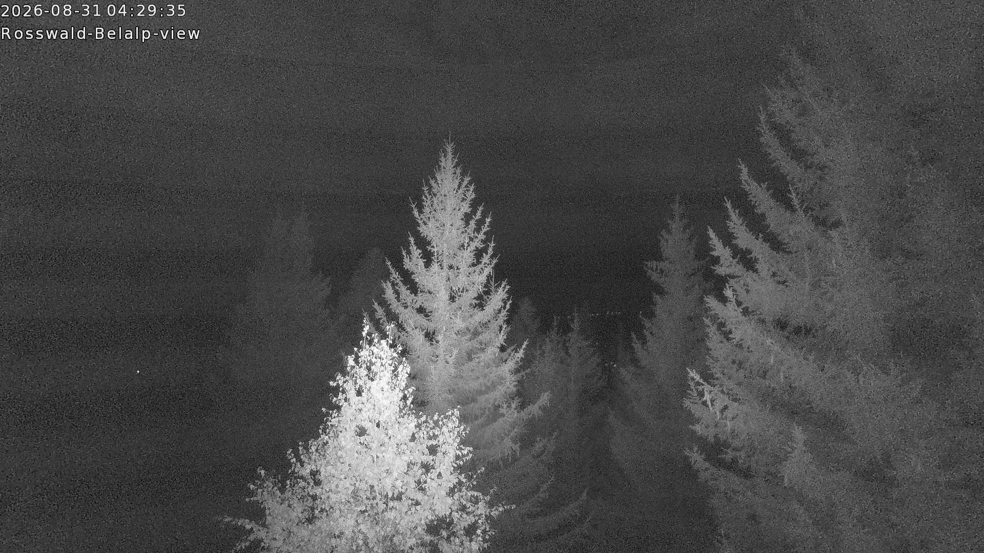 Archived image Webcam Rosswald - Bärgfriedu
