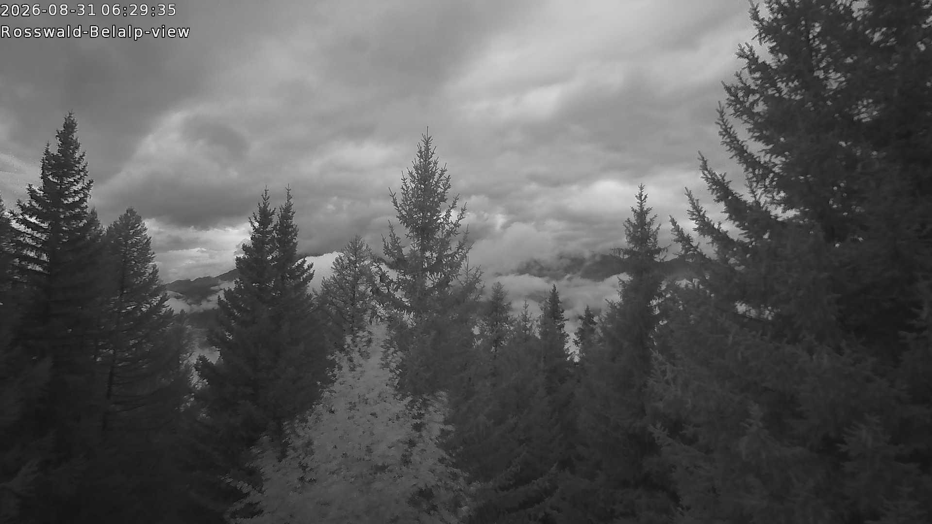 Archived image Webcam Rosswald - Bärgfriedu