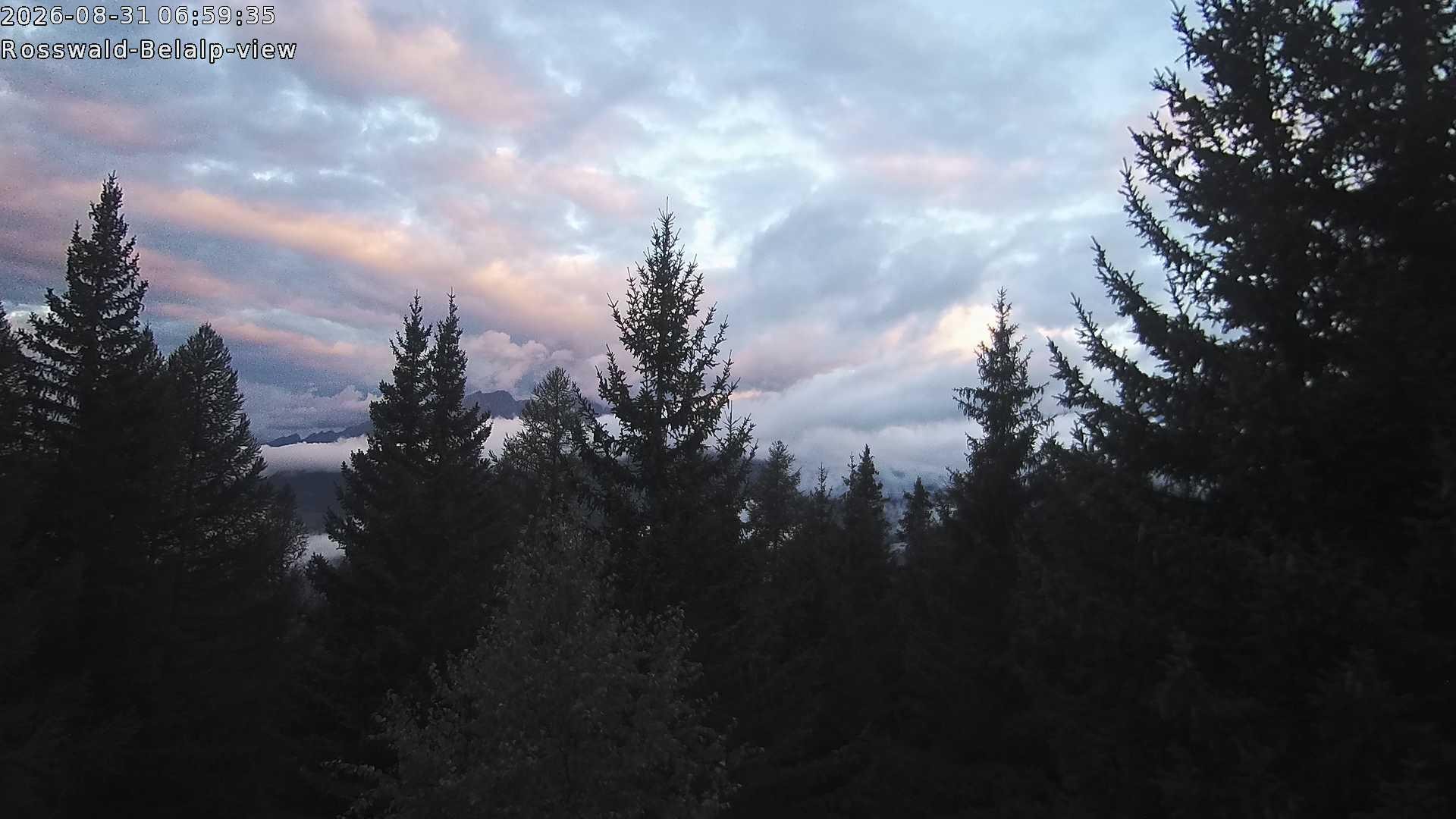 Archived image Webcam Rosswald - Bärgfriedu