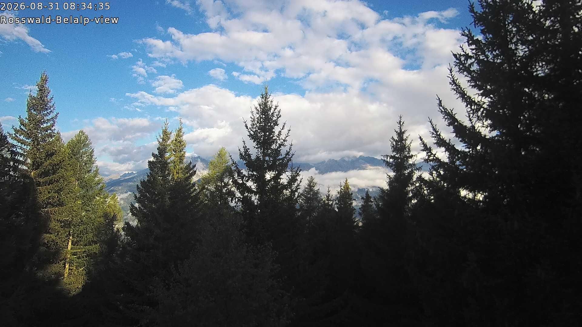 Archived image Webcam Rosswald - Bärgfriedu