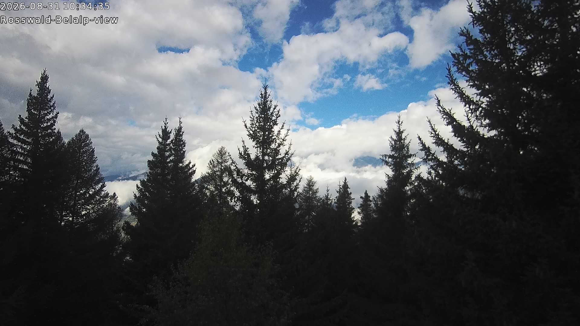 Archived image Webcam Rosswald - Bärgfriedu