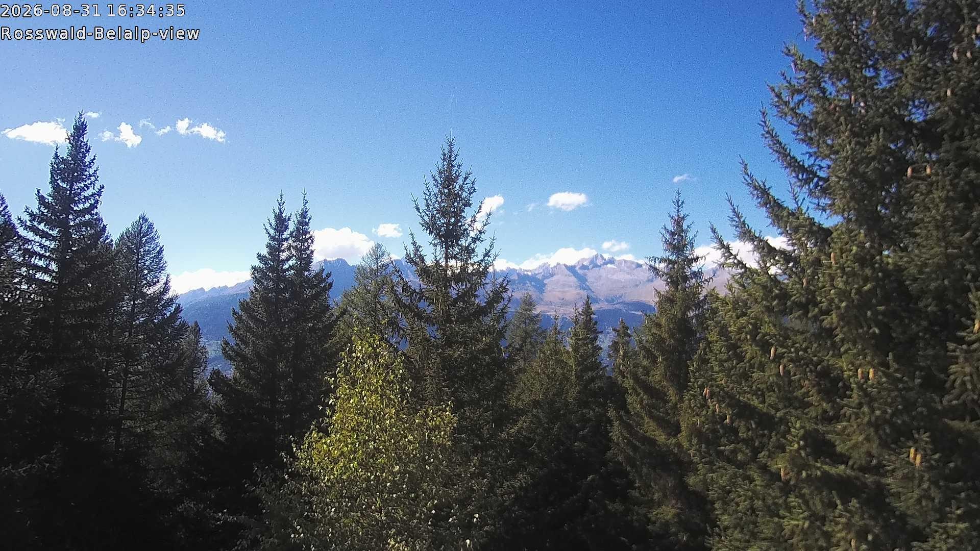 Archived image Webcam Rosswald - Bärgfriedu