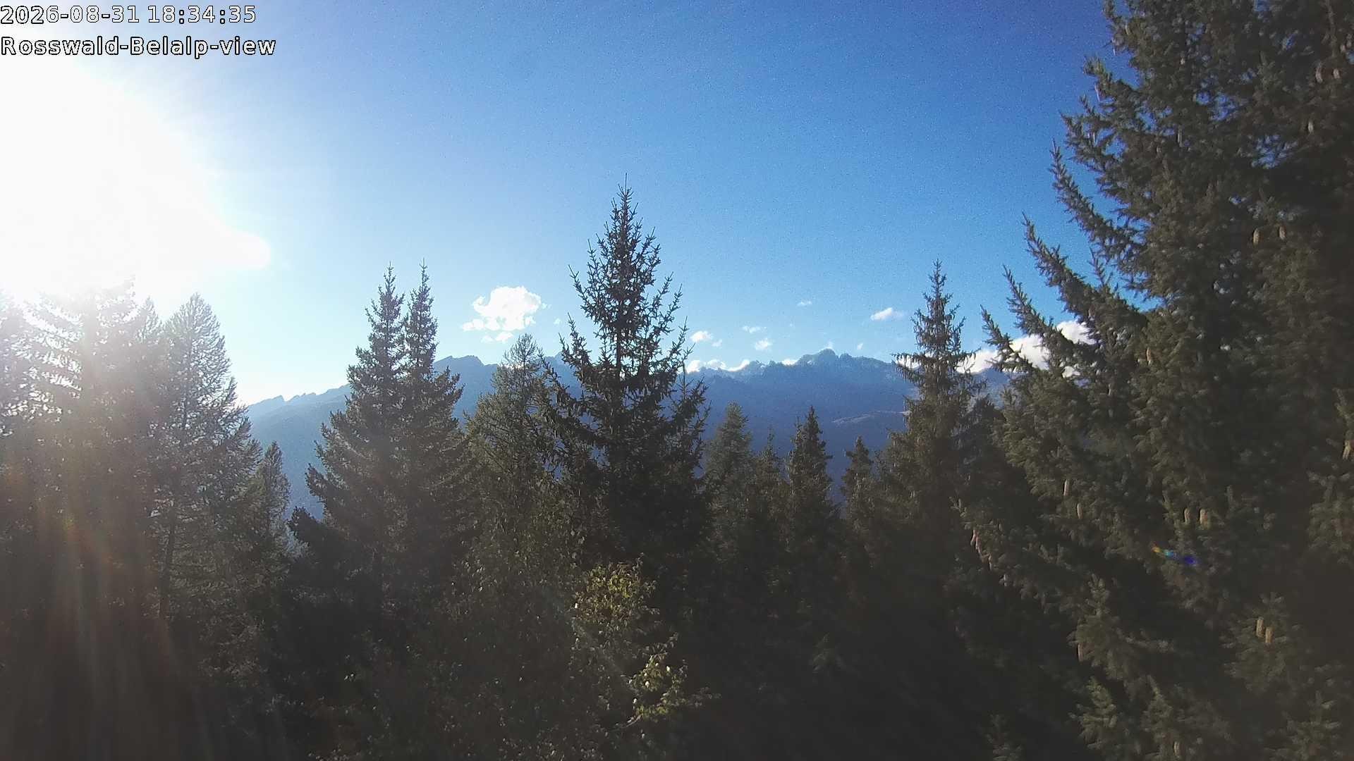 Archived image Webcam Rosswald - Bärgfriedu