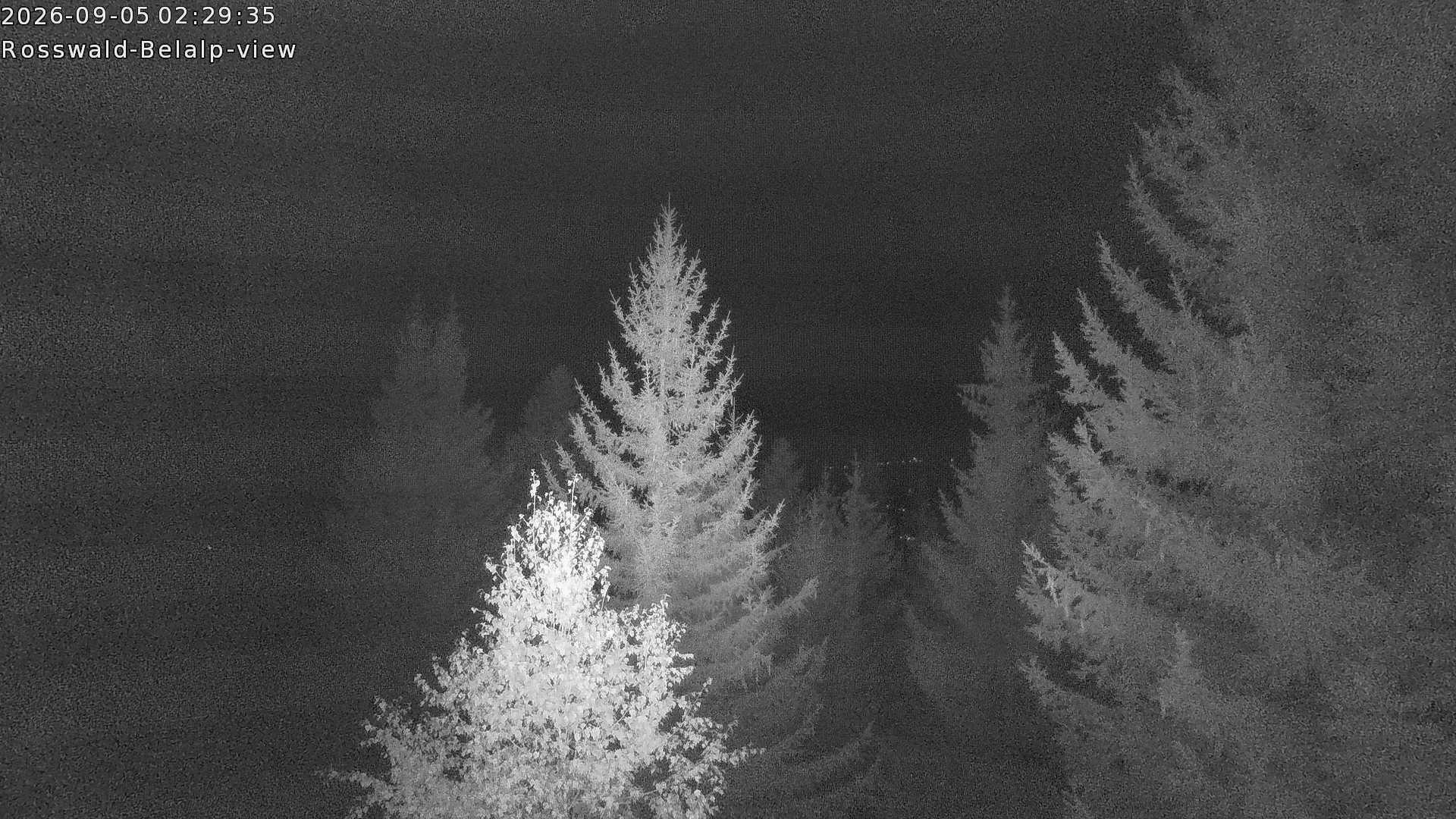 Archiv Foto Webcam Rosswald - Chalet Bergfriede