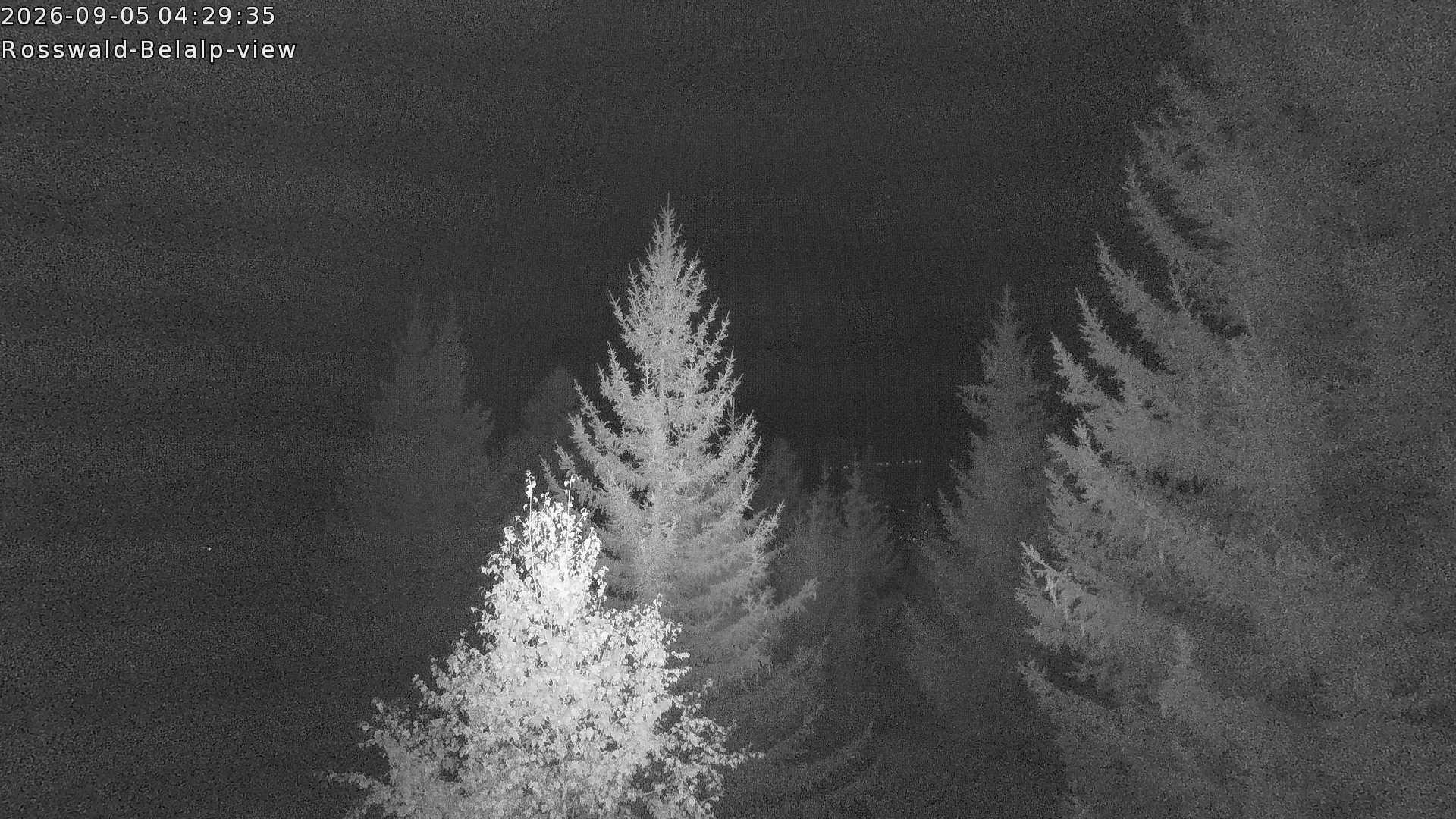 Archiv Foto Webcam Rosswald - Chalet Bergfriede
