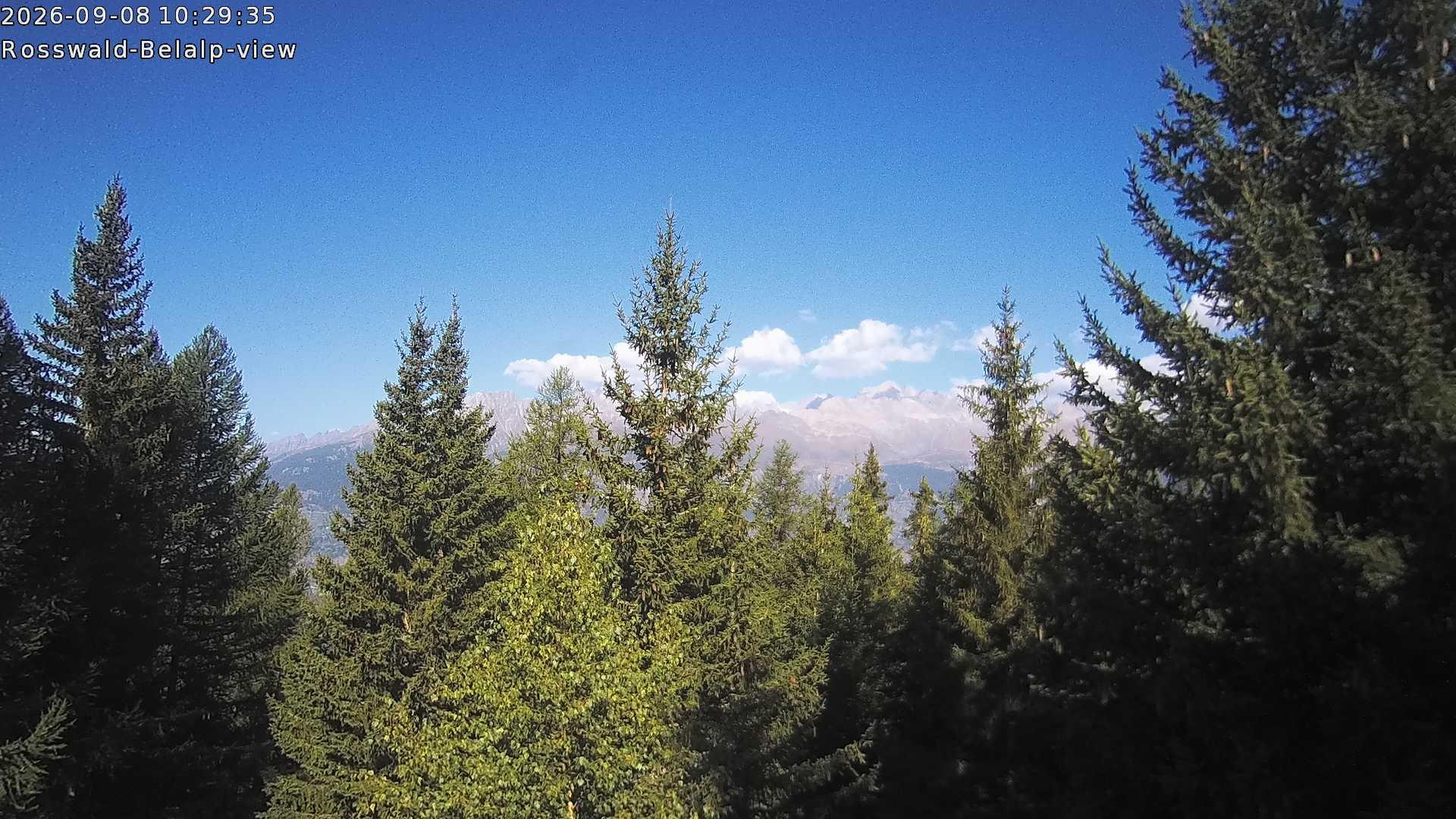 Archiv Foto Webcam Rosswald - Chalet Bergfriede