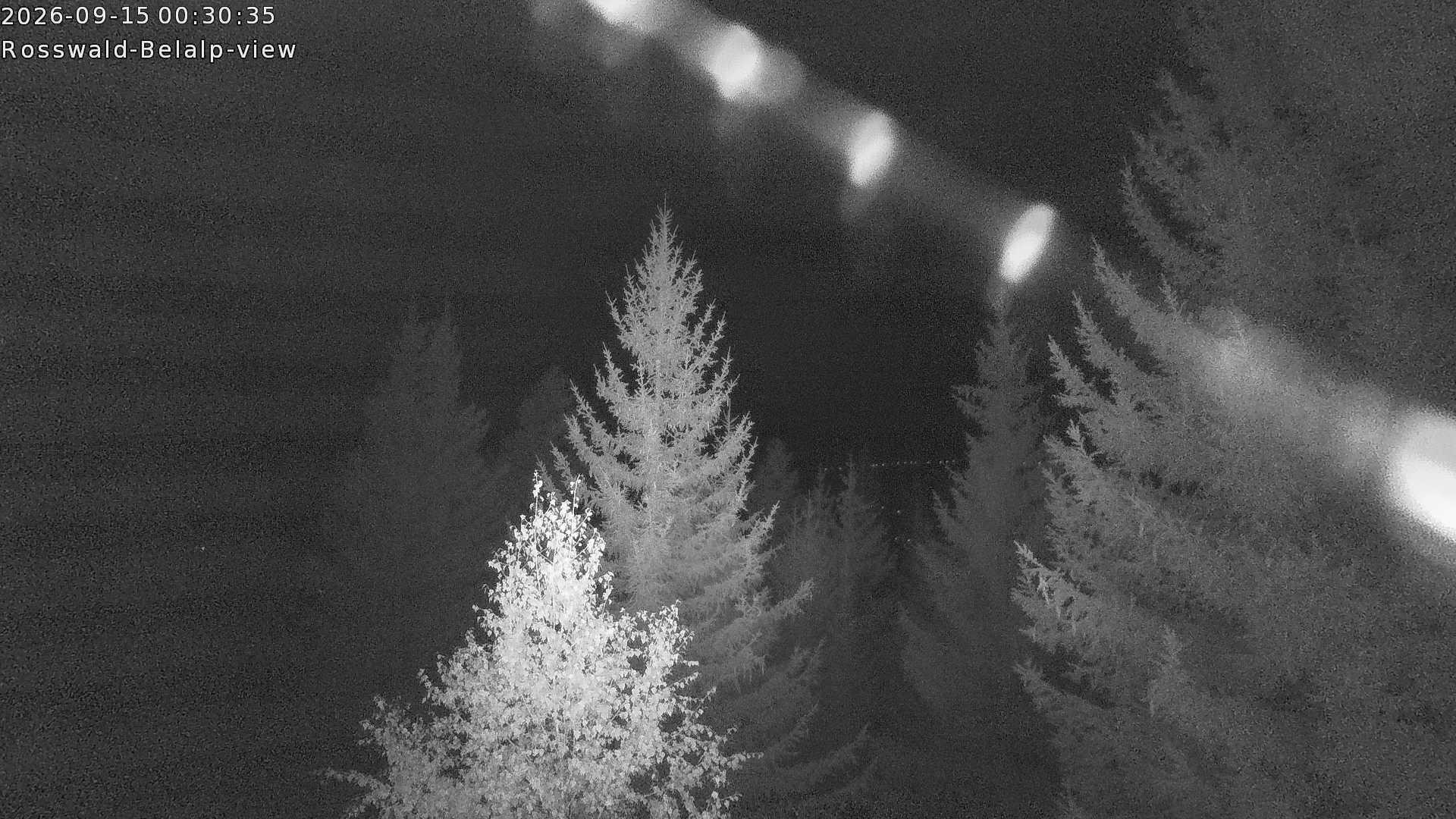Archived image Webcam Rosswald - Bärgfriedu